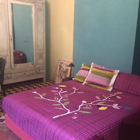 Les Renards Du Coeur Otel Seravezza Dış mekan fotoğraf