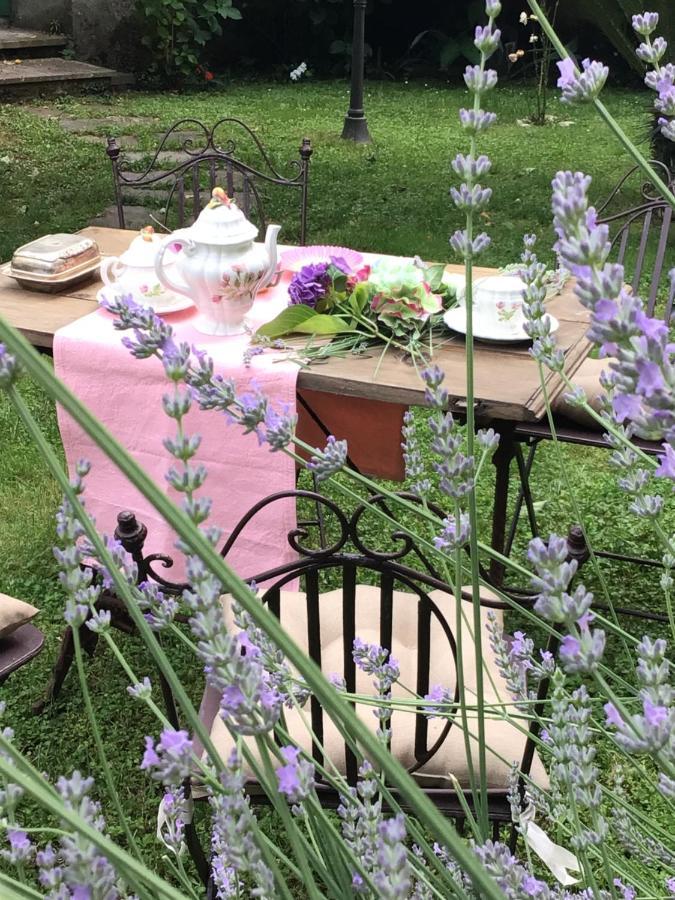 Les Renards Du Coeur Otel Seravezza Dış mekan fotoğraf