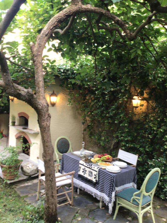Les Renards Du Coeur Otel Seravezza Dış mekan fotoğraf