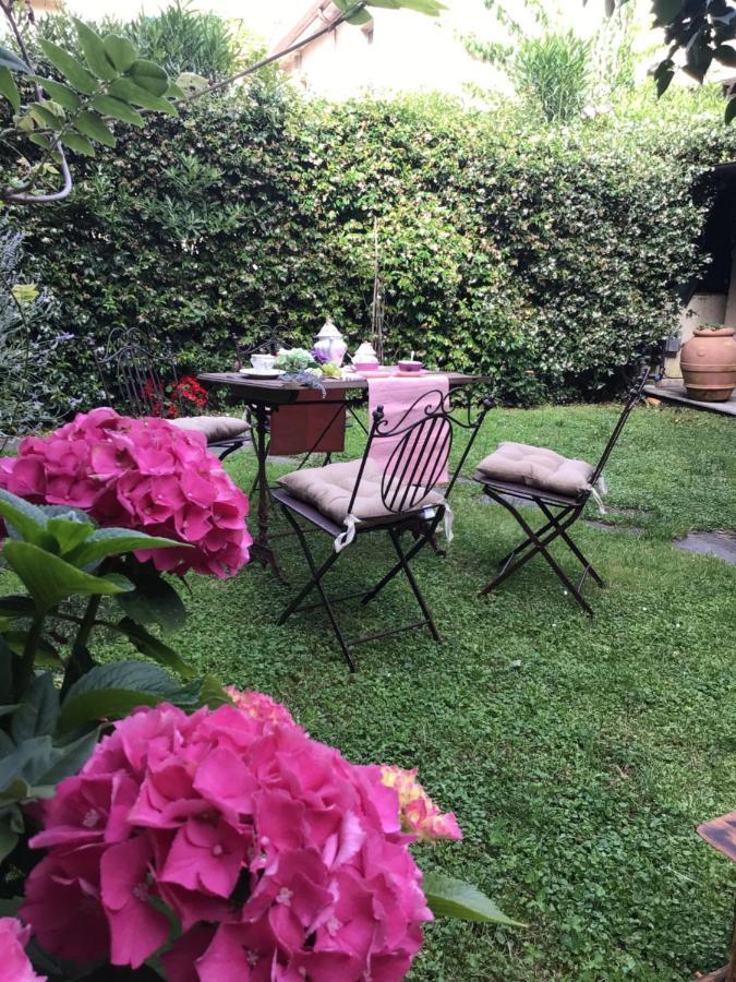 Les Renards Du Coeur Otel Seravezza Dış mekan fotoğraf