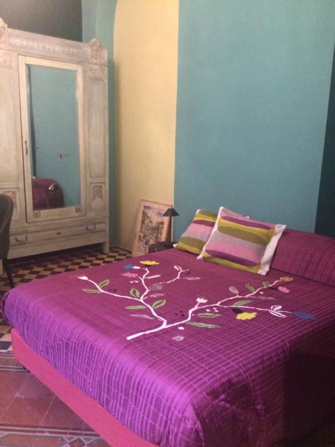 Les Renards Du Coeur Otel Seravezza Dış mekan fotoğraf