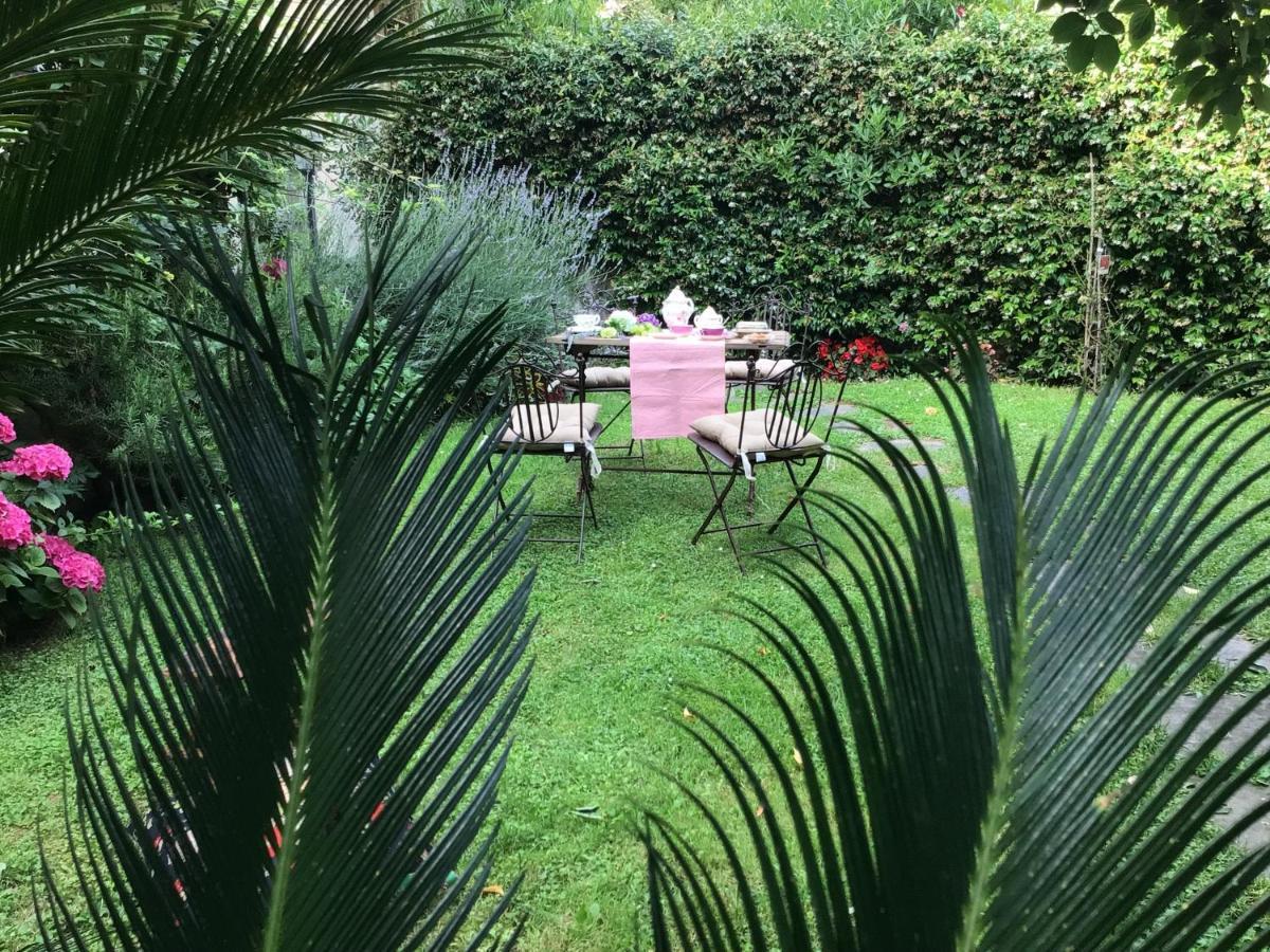 Les Renards Du Coeur Otel Seravezza Dış mekan fotoğraf
